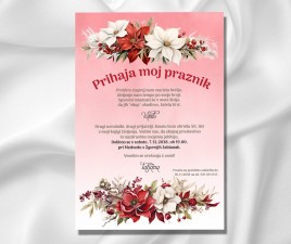 Vabilo za rojstni dan 2 H