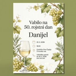 vabilo za rojstni dan 4 C