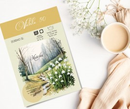 Vabilo za rojstni dan 7 C