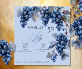 Vabilo za rojstni dan 1 A 15