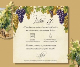 Vabilo za rojstni dan 1 A 18